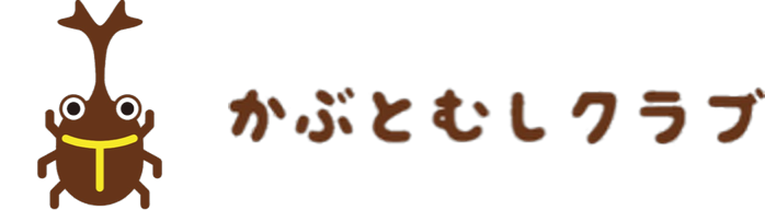 かぶとむしクラブ